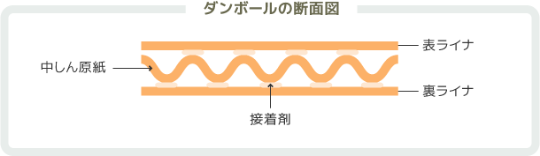 ダンボールの断面図