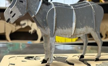 ダンボール工作キット(*'ω'*)／♪